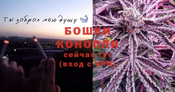 трава Покачи