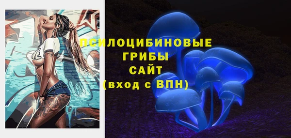 дурь Белокуриха
