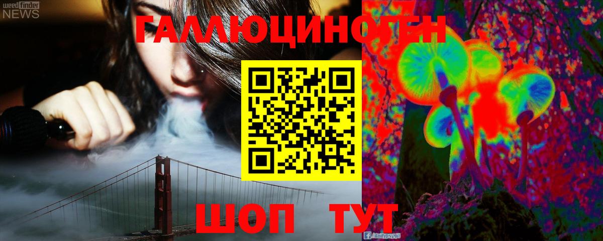 Псилоцибиновые грибы Cubensis Соль-Илецк