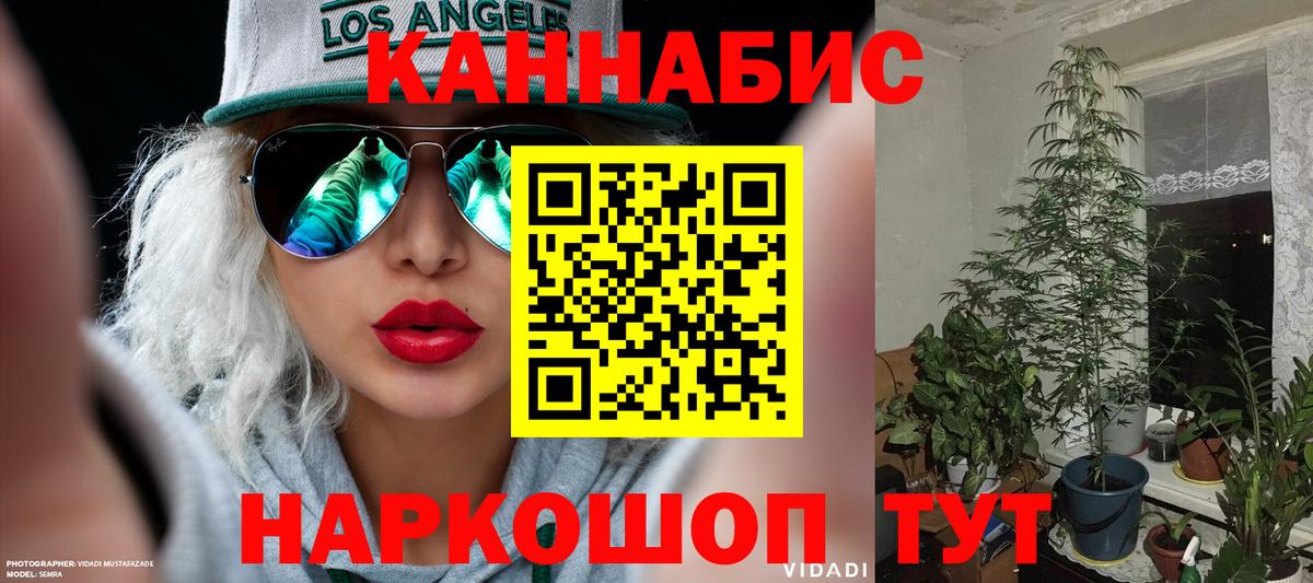 Бошки марихуана гибрид Соль-Илецк
